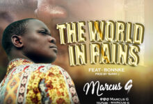 MARCUS G - THE WORLD IN PAINS