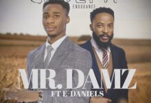Mr Damz Ft E Daniels - Lawepa (Endurance)